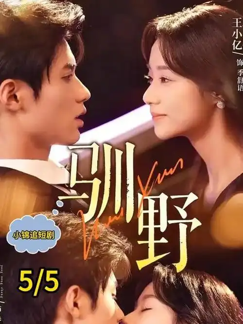 第七次日落第12集